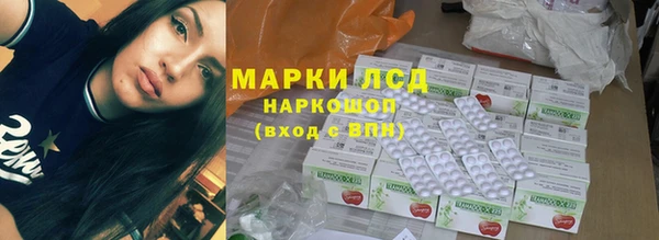 эйфоретик Баксан