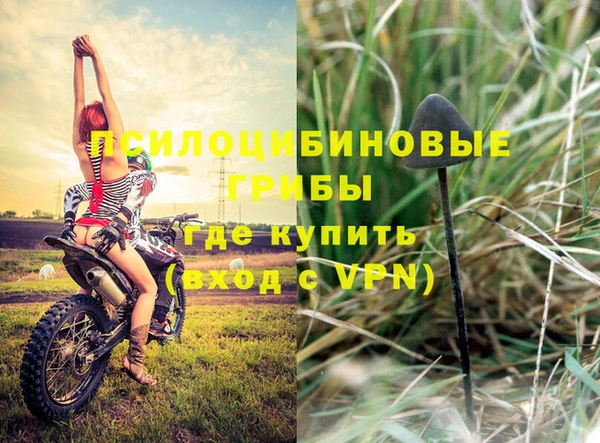 спиды Семикаракорск