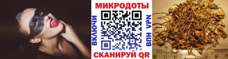 Псилоцибиновые грибы Cubensis  Баксан 